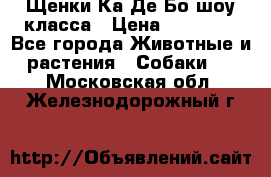 Щенки Ка Де Бо шоу класса › Цена ­ 60 000 - Все города Животные и растения » Собаки   . Московская обл.,Железнодорожный г.